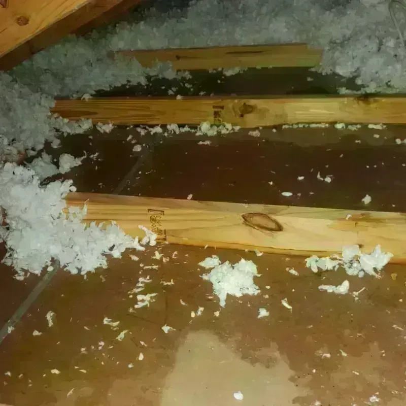 Attic Water Damage in Vienna, VA