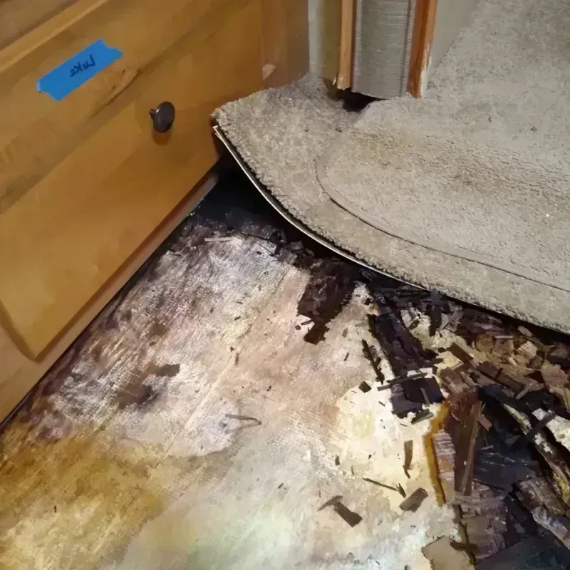 Wood Floor Water Damage in Vienna, VA